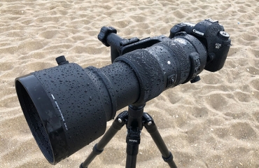 سیگما لنز زوم 60-600mm خود را رونمایی کرد